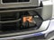 2024 Ford F-150 Raptor R R